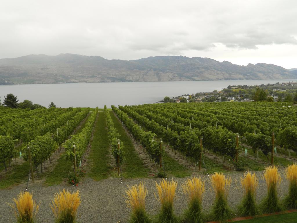 Winedownhere - Lic. 75806 Kelowna Ngoại thất bức ảnh